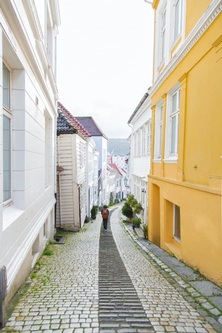 Bergen gate (Large)